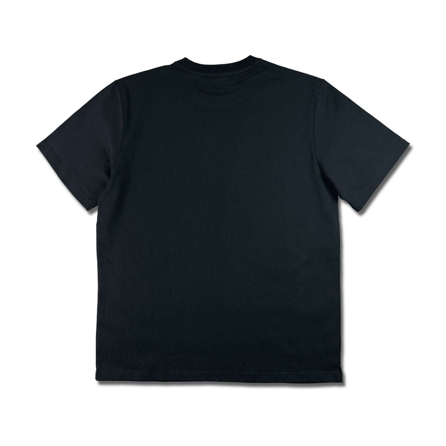 VERSION 001 (STANDARD TEE-BLACK)