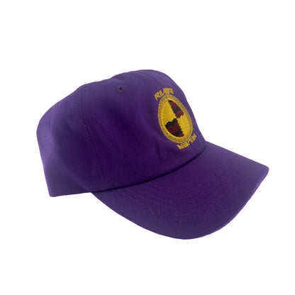 LEGEDIZE LENS HAT (PURPLE)