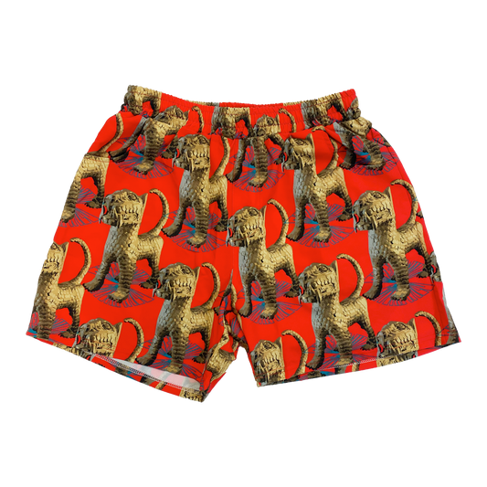 RETURN TO BENIN SHORTS (INFRA RED)
